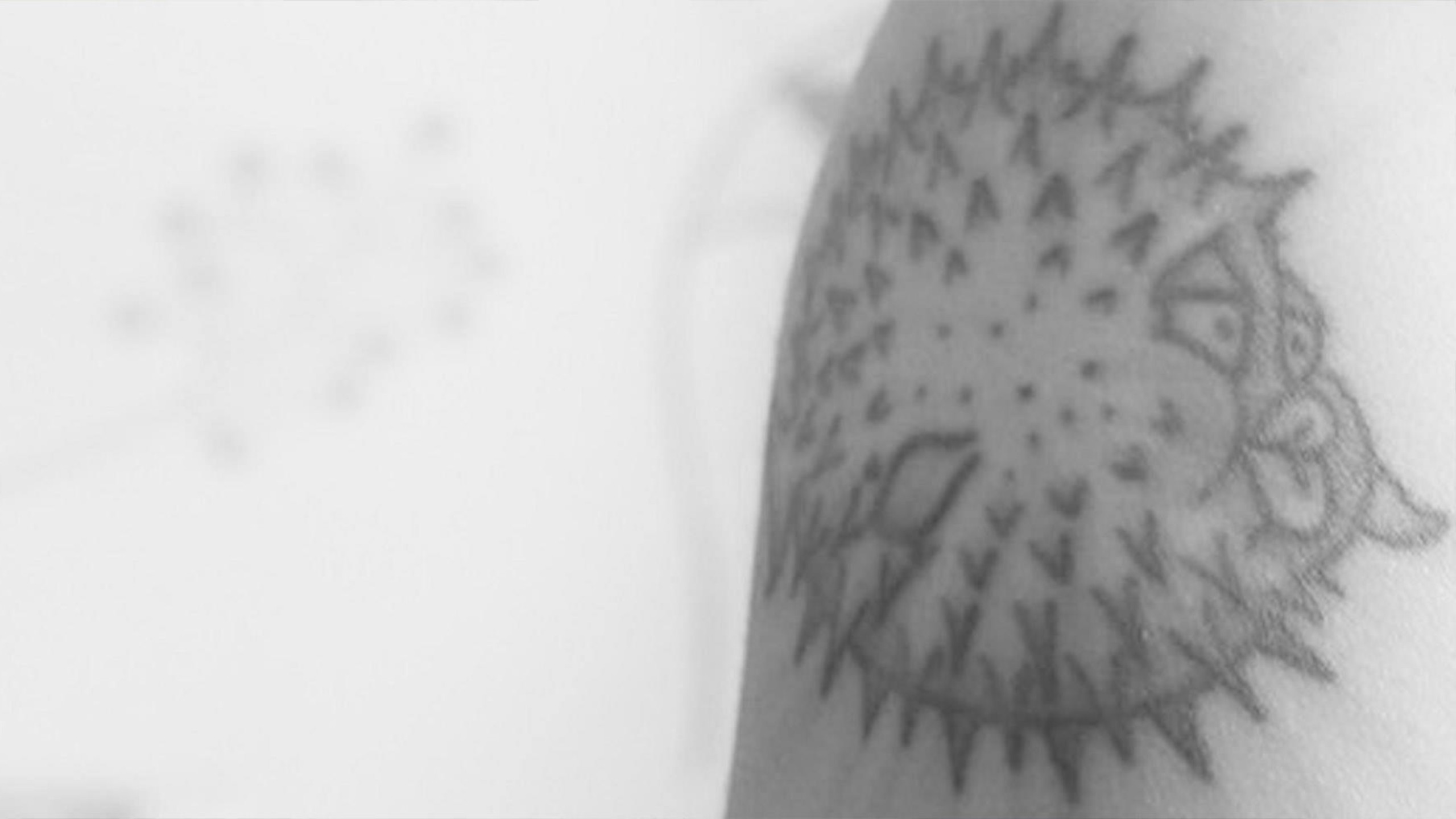 How I fell in love with OpenBSD